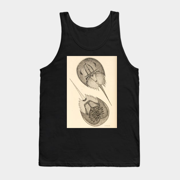 Horseshoe Crab Tank Top by bluespecsstudio